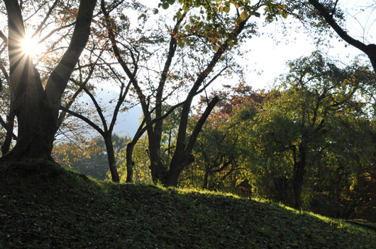 c0093046_6523244.jpg