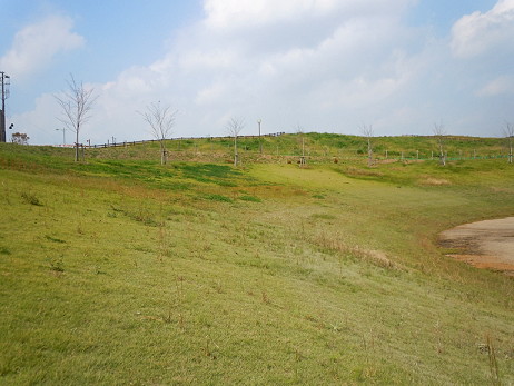 e0028446_22332875.jpg