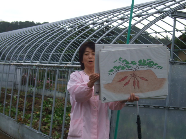 さつまいも掘りに、行ってきました_d0166047_16252641.jpg