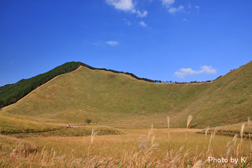 c0127748_19844.jpg