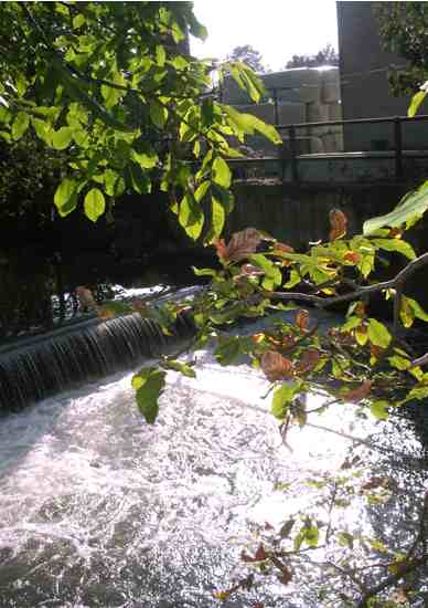 d0047851_6155558.jpg