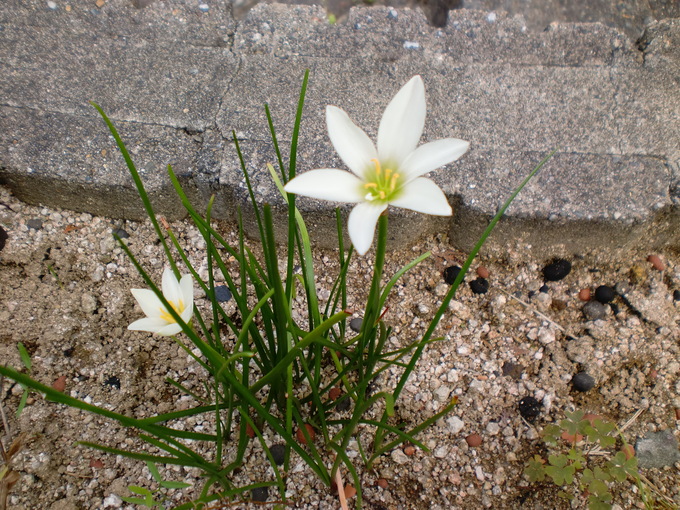 d0154954_14422.jpg