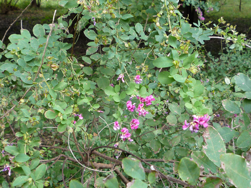 b0045357_13648.jpg