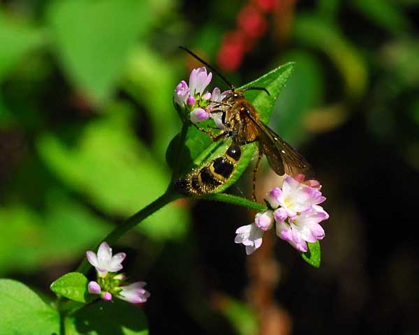 e0035757_221836100.jpg