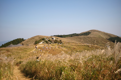 111011 30分圏内_b0129659_8402012.jpg