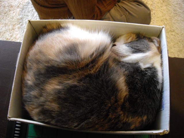 d0116059_1334276.jpg