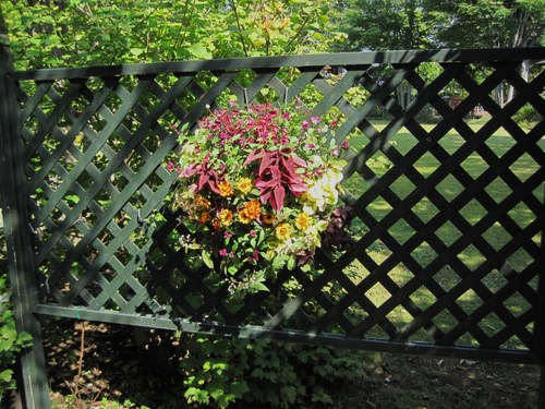 f0236260_093031.jpg