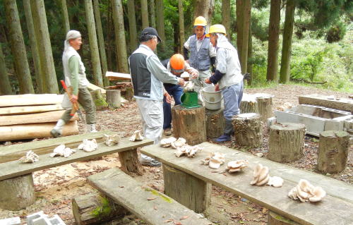 b0129962_20112426.jpg