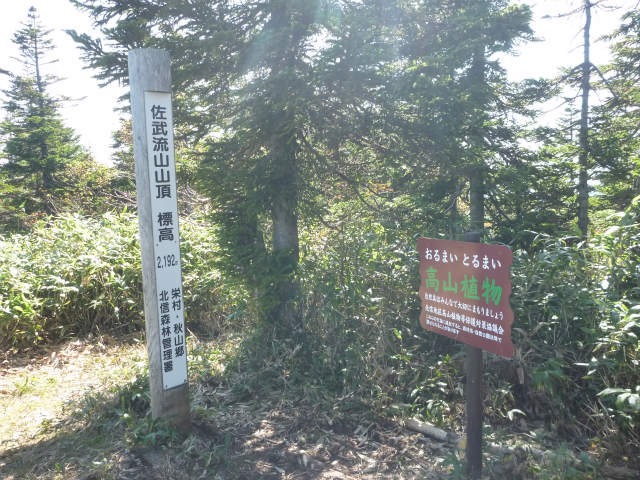 d0110562_2112139.jpg