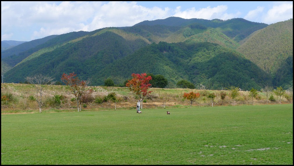 c0084268_810116.jpg