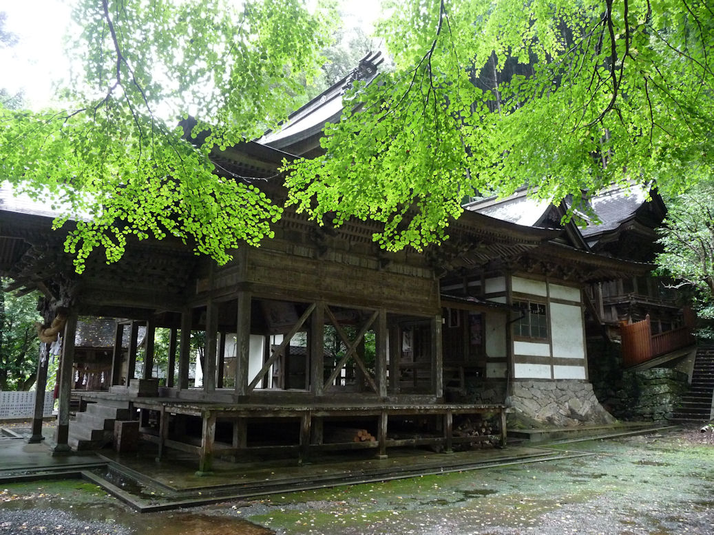 e0165472_114865.jpg