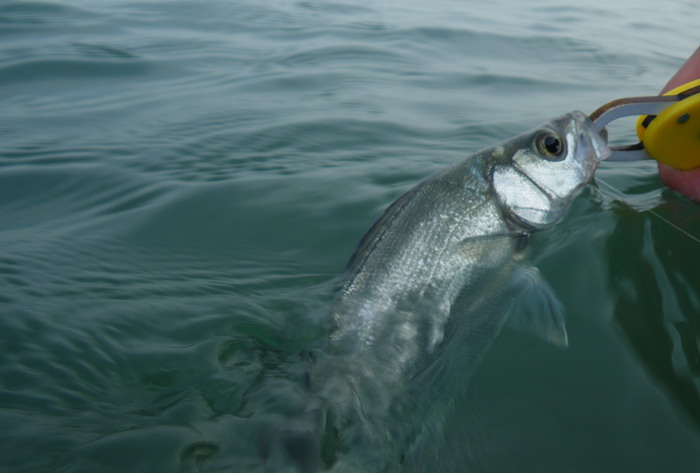 浜名湖、連休最終日に。。。_c0197578_12342388.jpg