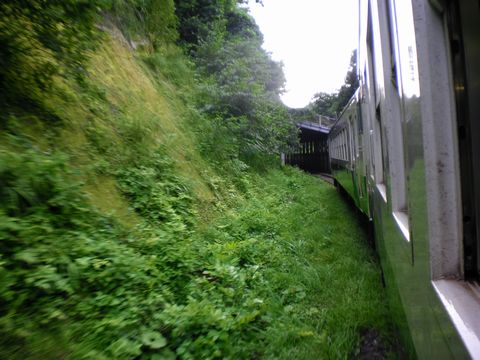 真夏の列島横断旅4 (只見線〔後半〕)_b0005281_21215686.jpg