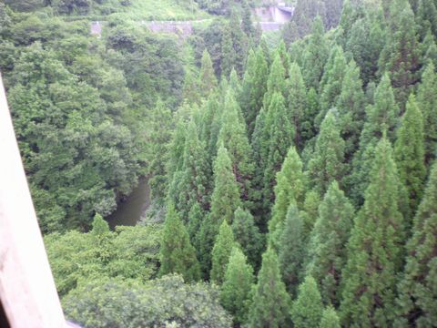 真夏の列島横断旅4 (只見線〔後半〕)_b0005281_2122541.jpg