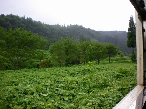 真夏の列島横断旅4 (只見線〔後半〕)_b0005281_2127463.jpg