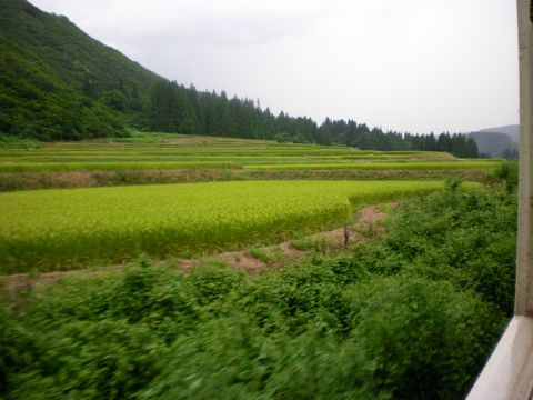 真夏の列島横断旅4 (只見線〔後半〕)_b0005281_2130329.jpg