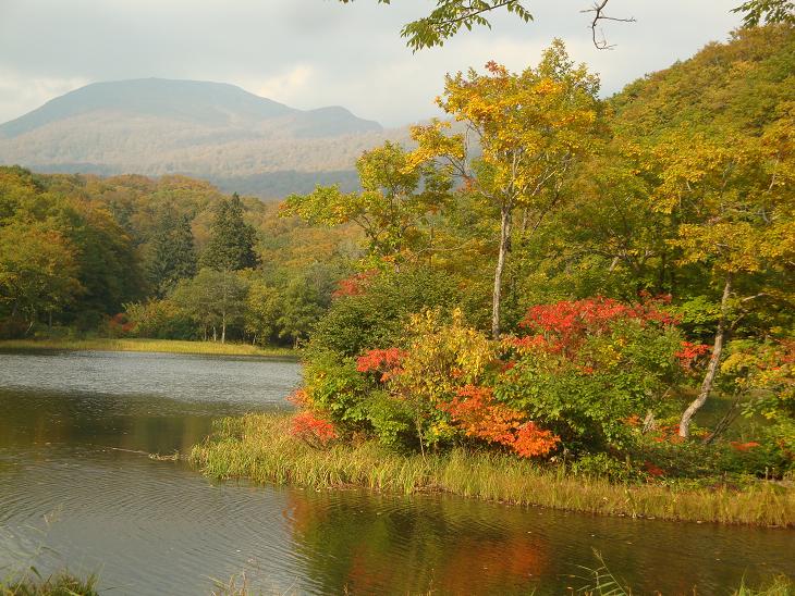 月山の途中まで　紅葉狩り_f0075595_033799.jpg