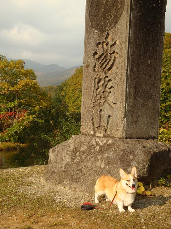 月山の途中まで　紅葉狩り_f0075595_0352442.jpg