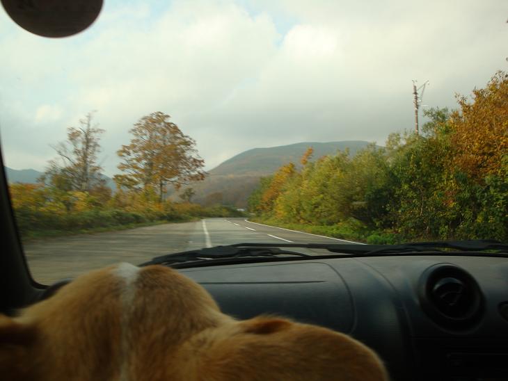 月山の途中まで　紅葉狩り_f0075595_03857.jpg