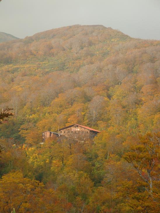 月山の途中まで　紅葉狩り_f0075595_04026.jpg