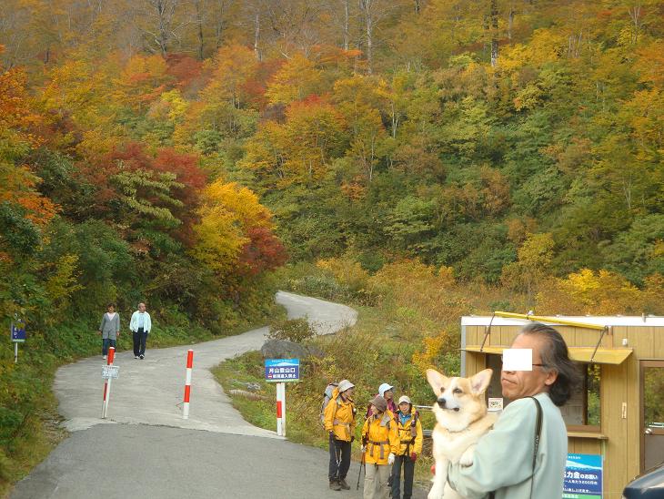 月山の途中まで　紅葉狩り_f0075595_04433.jpg