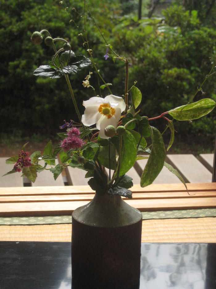 花を触ること_a0233896_16455246.jpg