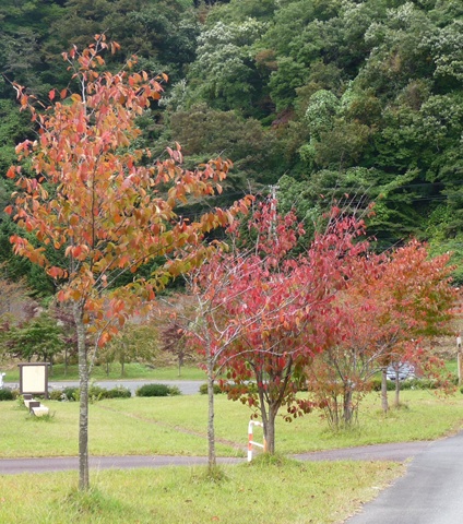 a0138198_14372449.jpg