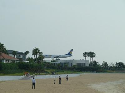 神戸空港西緑地_b0051598_2312934.jpg