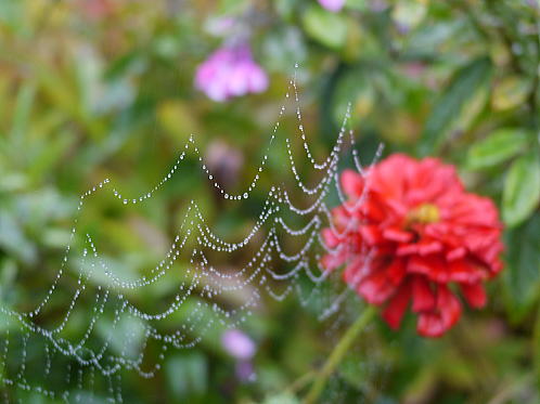 c0090198_4475944.jpg