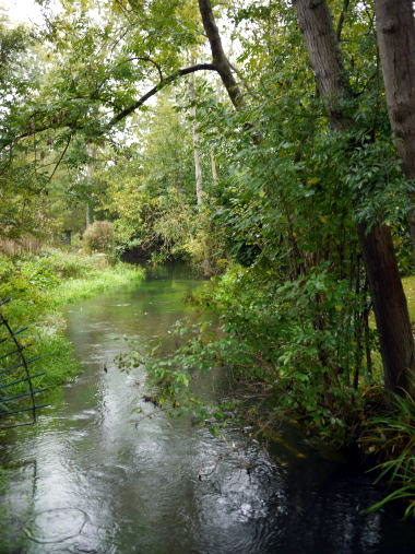 c0090198_4484252.jpg