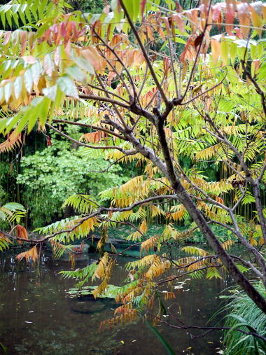 c0090198_4511672.jpg