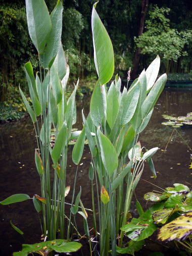 c0090198_4514962.jpg