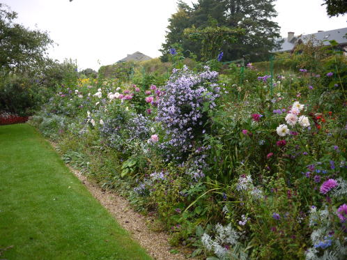 c0090198_4531443.jpg