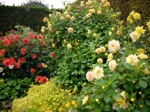 c0090198_4582350.jpg