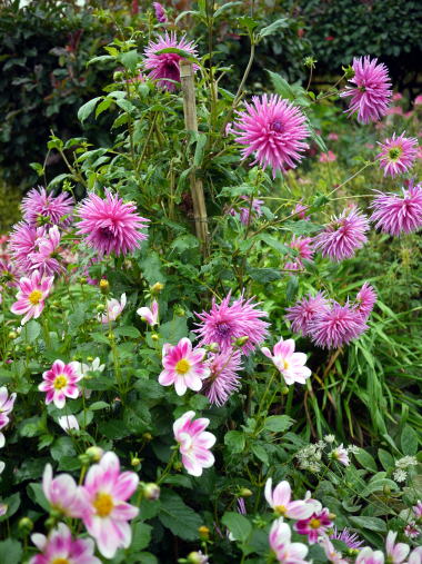 c0090198_4585036.jpg