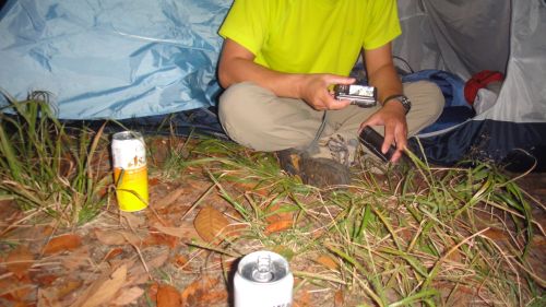 f0036700_1731879.jpg