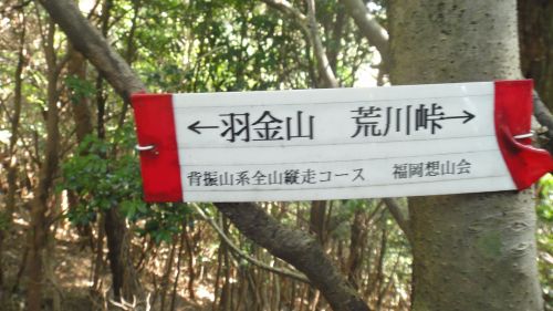 f0036700_1755390.jpg