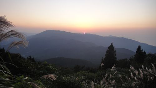 f0036700_177411.jpg