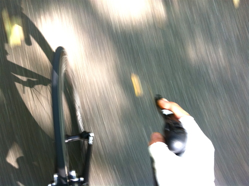 c0093101_23544472.jpg
