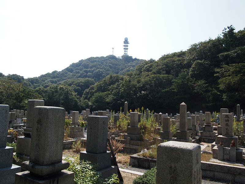 c0187503_19432060.jpg