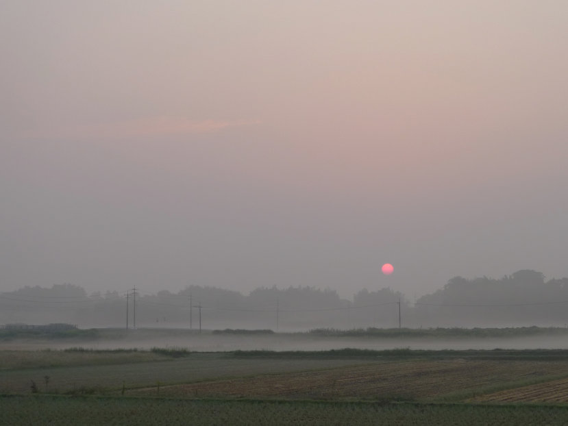 a0182404_192151100.jpg