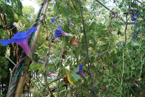 f0230410_21553295.jpg