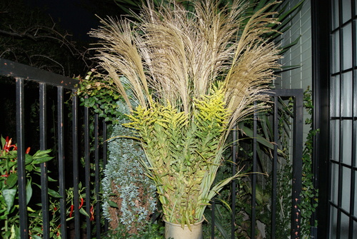 f0230410_22114346.jpg