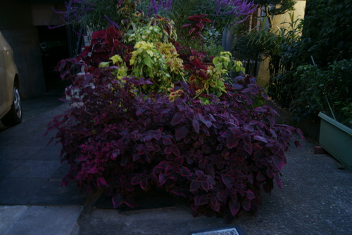 f0230410_2241999.jpg