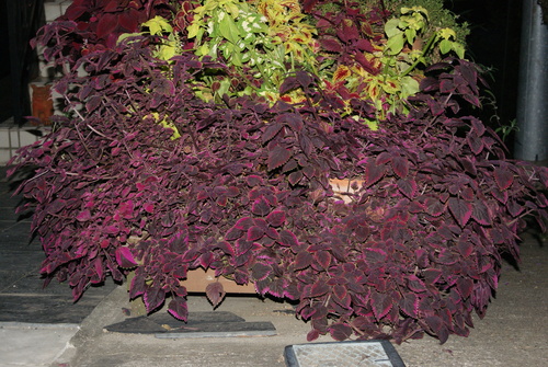 f0230410_2251654.jpg