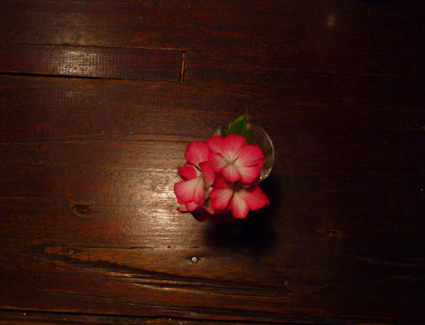 d0088611_1483442.jpg