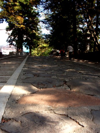 f0043911_1748823.jpg
