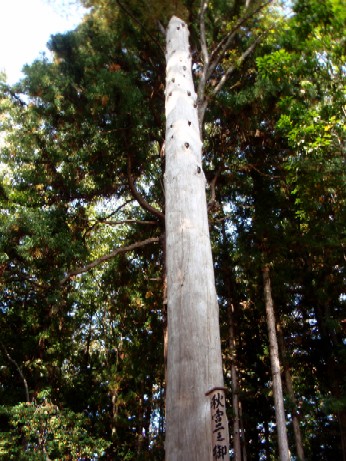 f0043911_17495951.jpg
