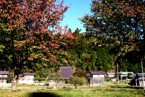 朽木の生杉 秋景色_e0048413_21273191.jpg
