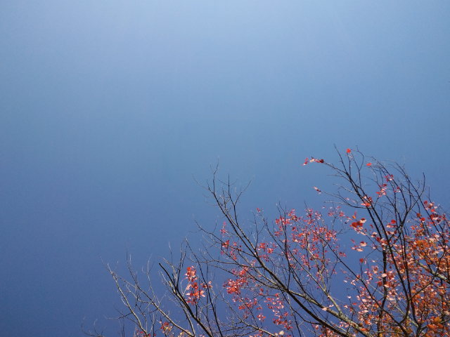 b0207514_19435989.jpg